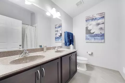 Bath - 1266 Falcon Ridge Dr, Elgin, IL 60124 photo 4 of 4