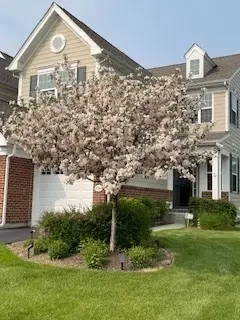 Exterior - 1266 Falcon Ridge Dr, Elgin, IL 60124 photo 4 of 4