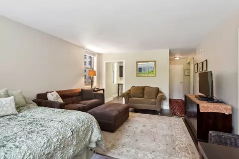 Living - 253 E Delaware Pl #4H, Chicago, IL 60611 photo 2 of 3