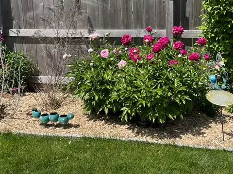 Exterior - 6908 155th Pl, Oak Forest, IL 60452 photo 6 of 11