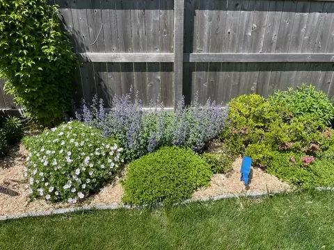 Exterior - 6908 155th Pl, Oak Forest, IL 60452 photo 7 of 11