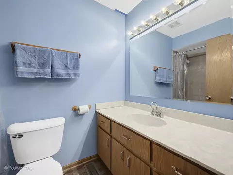 Bath - 6908 155th Pl, Oak Forest, IL 60452 photo 2 of 3
