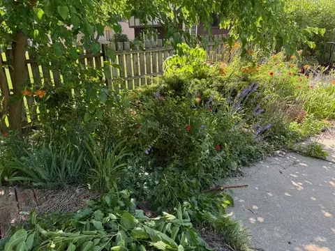 Exterior - Undisclosed, Wheaton, IL 60187 photo 23 of 24