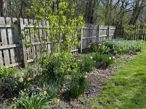 Exterior - Undisclosed, Wheaton, IL 60187 photo 20 of 24