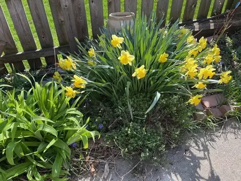 Exterior - Undisclosed, Wheaton, IL 60187 photo 22 of 24