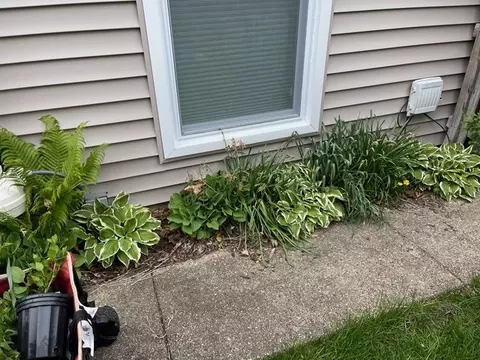 Exterior - Undisclosed, Wheaton, IL 60187 photo 15 of 24