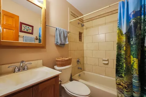 1004 Concord Dr, Bartlett, IL 60103 photo 14