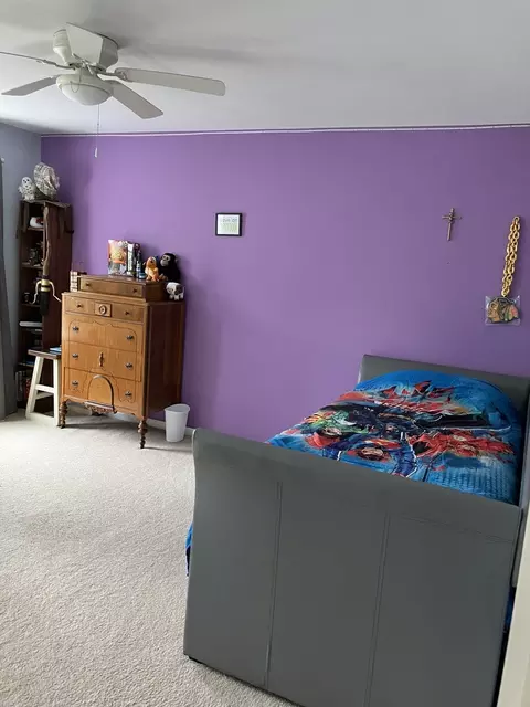 13710 Marigold Rd, Plainfield, IL 60544 photo 24