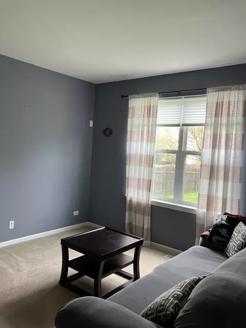 13710 Marigold Rd, Plainfield, IL 60544 photo 14