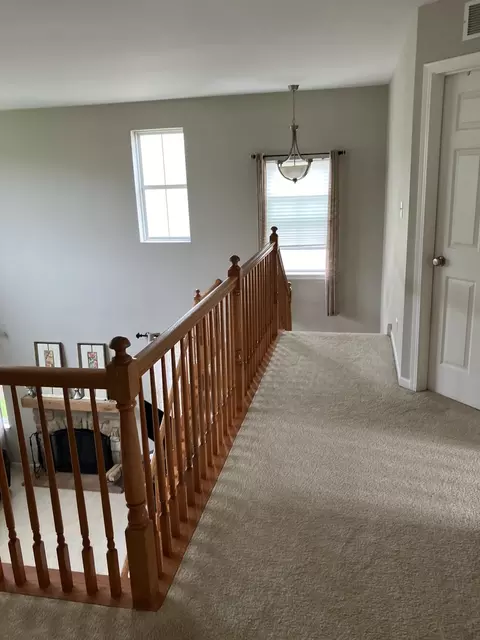 13710 Marigold Rd, Plainfield, IL 60544 photo 16