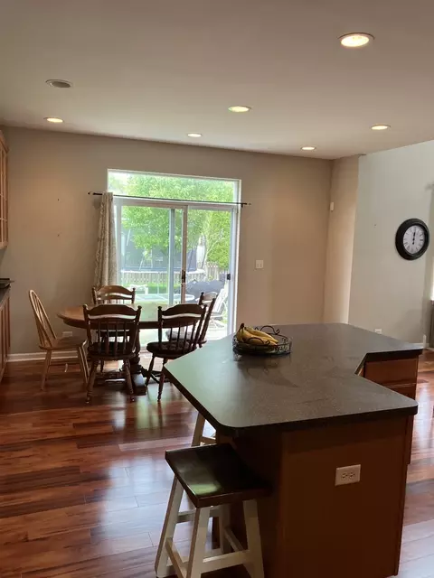 13710 Marigold Rd, Plainfield, IL 60544 photo 9