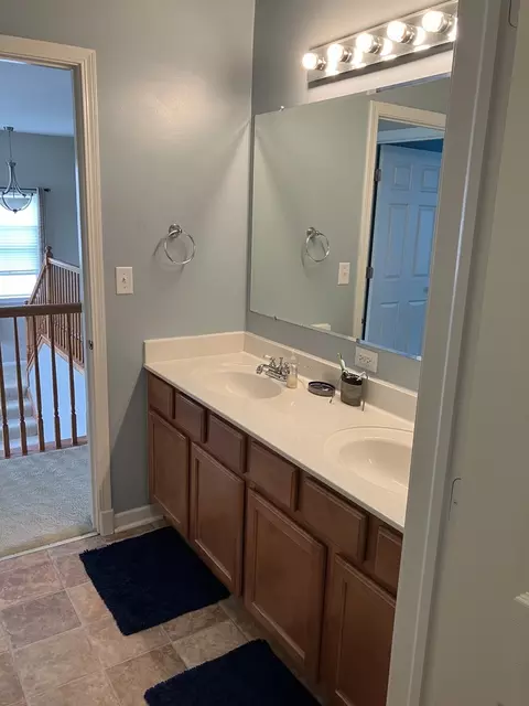 13710 Marigold Rd, Plainfield, IL 60544 photo 21