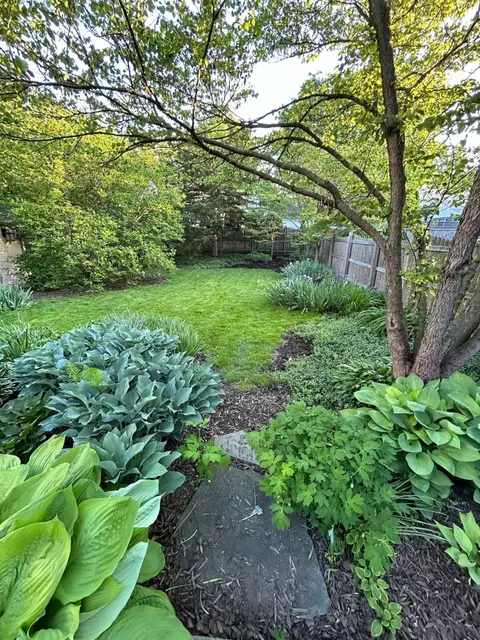 1118 W Daniel St, Champaign, IL 61821 photo 7