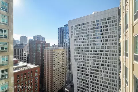 View/Area - 57 E Delaware Pl #2101, Chicago, IL 60611 photo 1 of 1