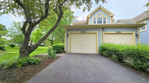 1263 Rhodes Ln #1201, Naperville, IL 60540