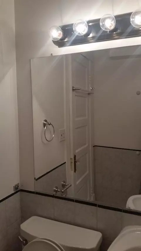 Bath - 3807 N Bell Ave, Chicago, IL 60618 photo 2 of 4