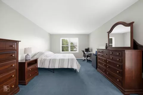 720 Small Ct, Naperville, IL 60563 photo 13