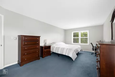 720 Small Ct, Naperville, IL 60563 photo 14