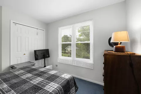 720 Small Ct, Naperville, IL 60563 photo 18