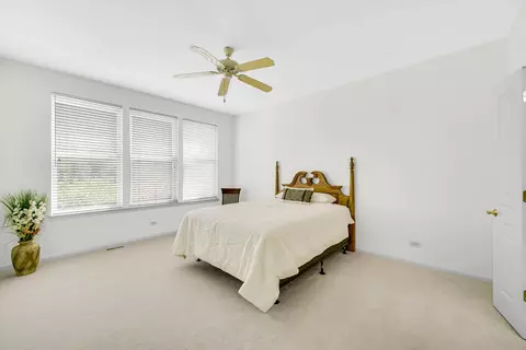 9 Brixton Ct, Algonquin, IL 60102 photo 11