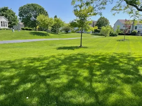 9 Brixton Ct, Algonquin, IL 60102 photo 25