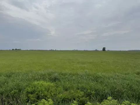 375 N 9000w Rd, Bonfield, IL 60913