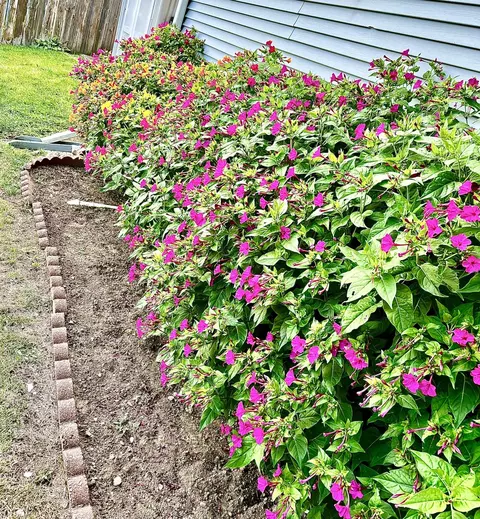 Other - 7 Hale Ct, Normal, IL 61761 photo 7 of 7