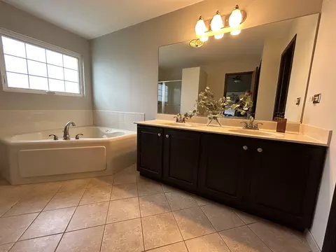 Bath - 1804 Arbor Falls Dr, Plainfield, IL 60586 photo 3 of 4