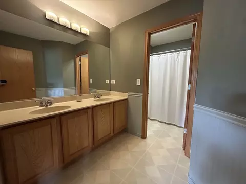 Bath - 1804 Arbor Falls Dr, Plainfield, IL 60586 photo 2 of 4
