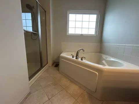Bath - 1804 Arbor Falls Dr, Plainfield, IL 60586 photo 4 of 4