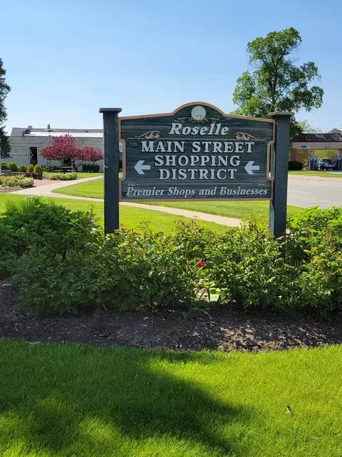 50 N Bokelman St #534, Roselle, IL 60172 photo 20
