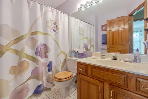 4786 Amber Cir, Hoffman Estates, IL 60192 photo 21