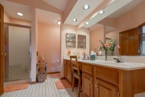 4786 Amber Cir, Hoffman Estates, IL 60192 photo 19