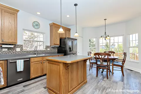 223 Edgewater Dr, Bartlett, IL 60103 photo 5