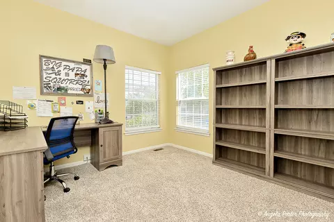223 Edgewater Dr, Bartlett, IL 60103 photo 23