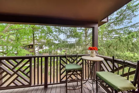 1606 C Thames Ct #C, Wheaton, IL 60189 photo 14