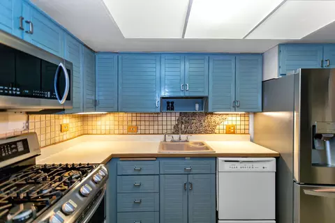 1101 Sausalito Ct, Bartlett, IL 60103 photo 12