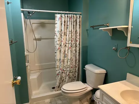 Bath - 207 N Third St, Buckley, IL 60918 photo 1 of 1
