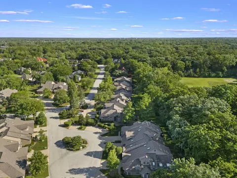 20120 Saint Andrews Dr, Olympia Fields, IL 60461 photo 37