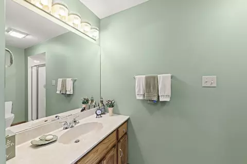 20120 Saint Andrews Dr, Olympia Fields, IL 60461 photo 19