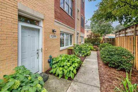 1193 S Grove Ave #11, Oak Park, IL 60304