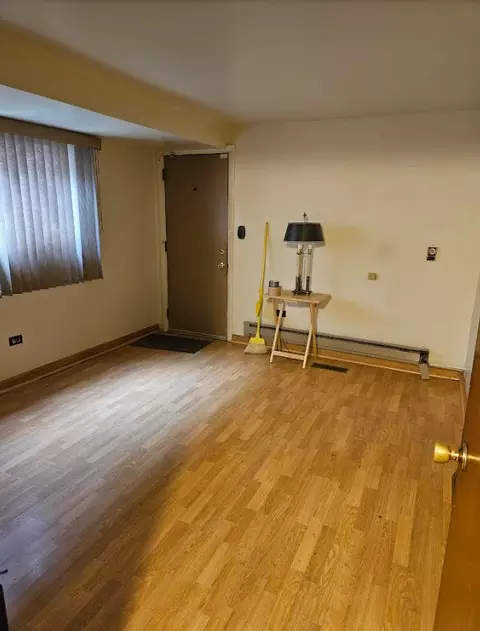 232 E 87th St, Chicago, IL 60619 photo 9