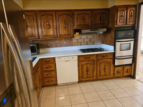 232 E 87th St, Chicago, IL 60619 photo 5