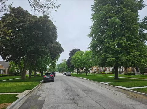 232 E 87th St, Chicago, IL 60619 photo 14