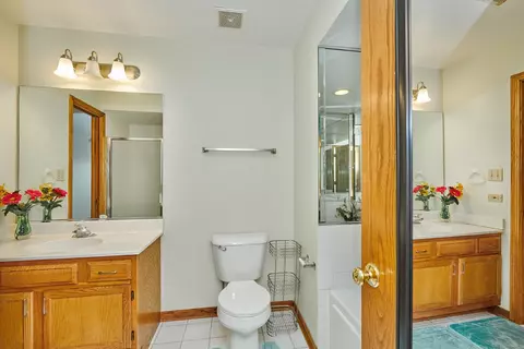 Bath - 1428 Berta Dr, Crest Hill, IL 60403 photo 7 of 13