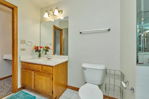Bath - 1428 Berta Dr, Crest Hill, IL 60403 photo 10 of 13