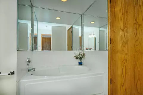 Bath - 1428 Berta Dr, Crest Hill, IL 60403 photo 4 of 13