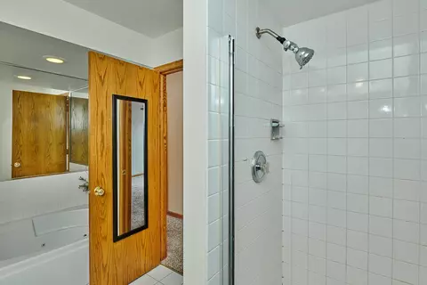 Bath - 1428 Berta Dr, Crest Hill, IL 60403 photo 3 of 13