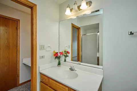 Bath - 1428 Berta Dr, Crest Hill, IL 60403 photo 1 of 13