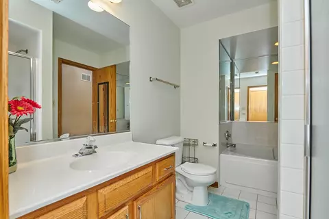 Bath - 1428 Berta Dr, Crest Hill, IL 60403 photo 9 of 13